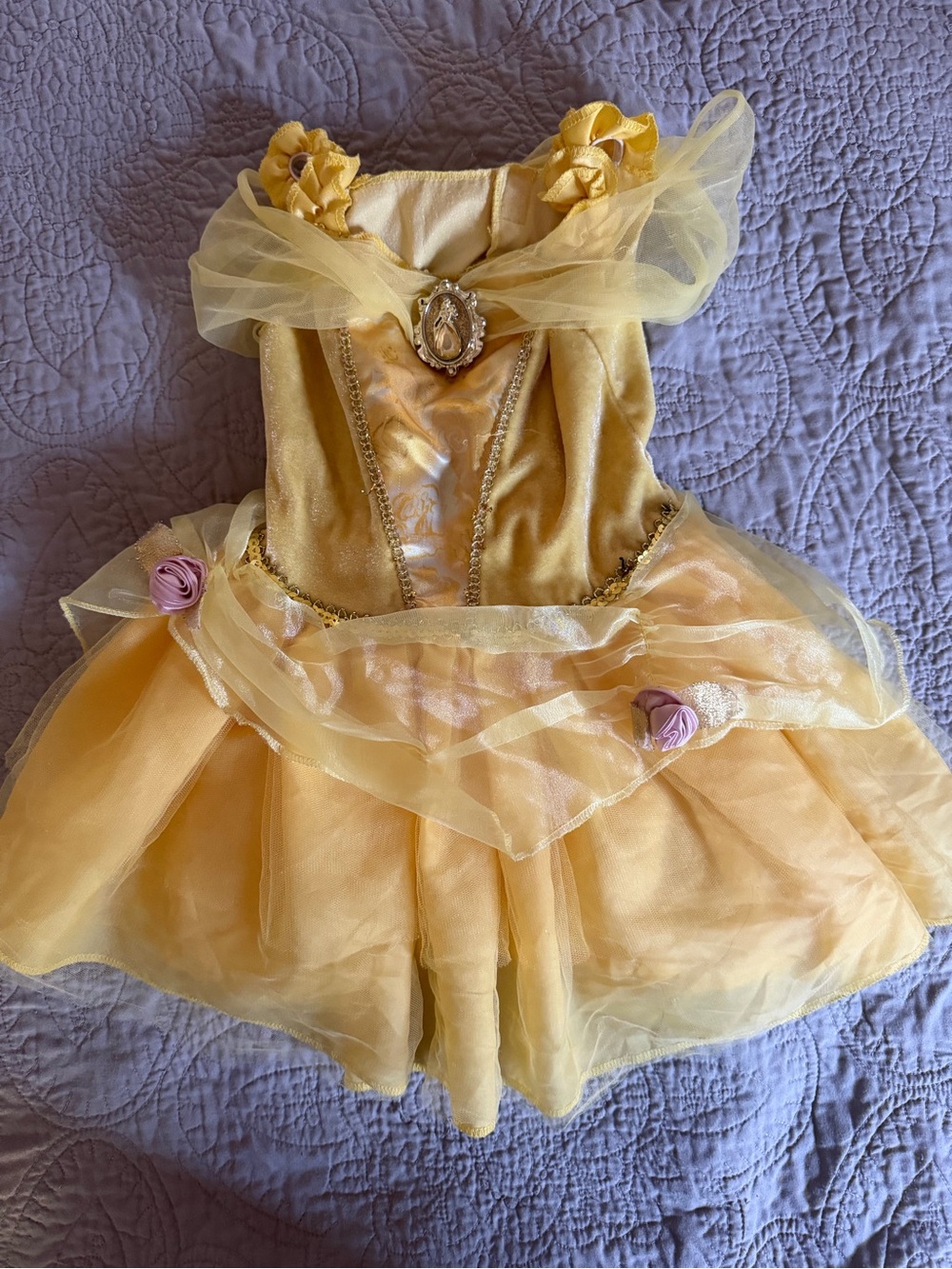 Disney Princess “Belle” Tulle Dress-Up Costume for Kids